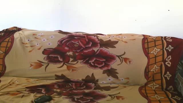 zarsie porno [2015/06/12 15:41:58]