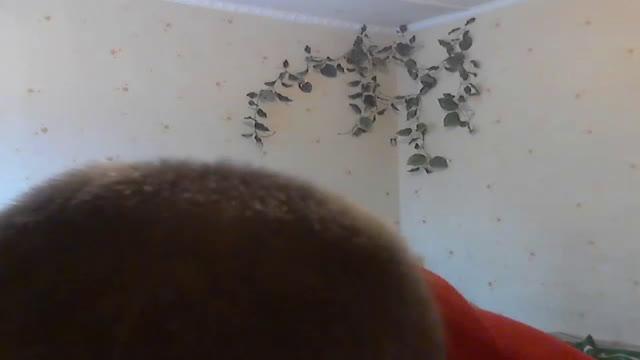 indogo webcam [2016/11/25 09:26:11]