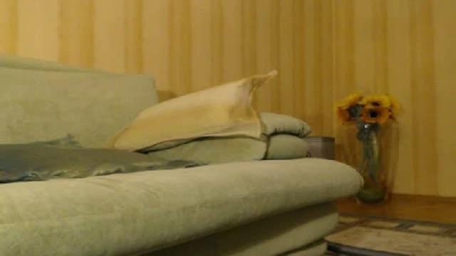 sexylyonez download [2015/11/06 17:45:27]
