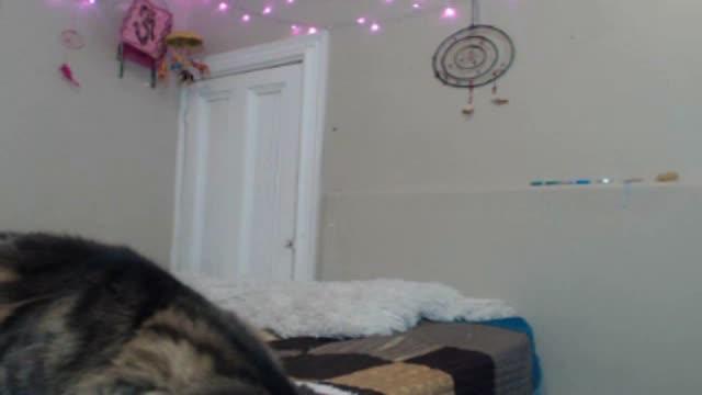 missmarley_ adult [2017/02/02 21:30:27]