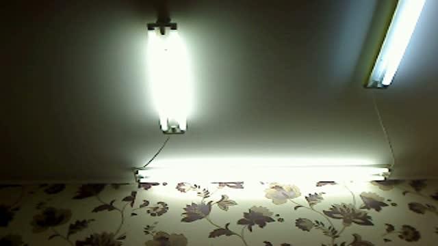 xxxhugetits download [2015/09/24 10:45:47]