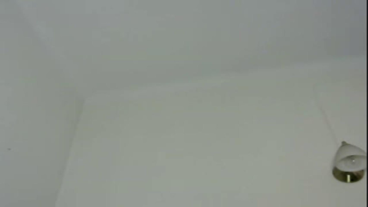 tivella Tits [2017/05/18 - 16:20:59]