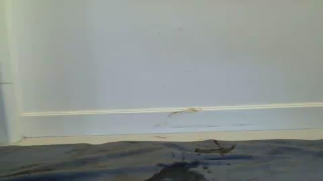 ivan0903 adult [2017/01/31 10:16:34]