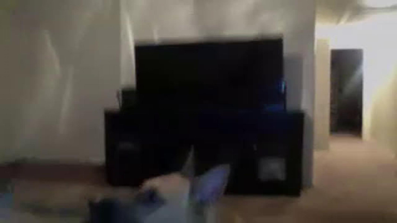 hollyluxx Fisting Movie [2017/08/18 03:20:12]