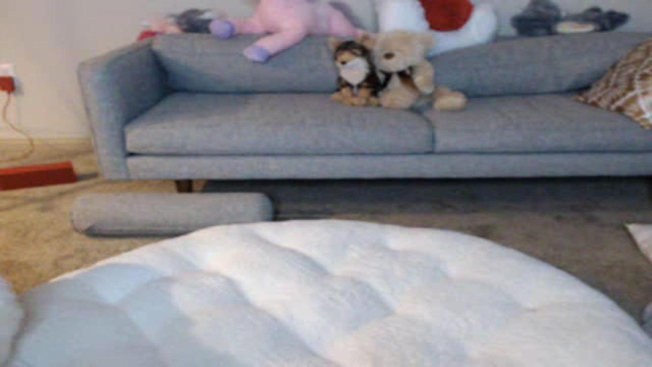 riley_coyote Humiliation [2017/08/18 01:12:50]
